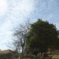 Land plot in Greece, 400 sq.m.