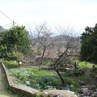 Land plot in Greece, 400 sq.m.