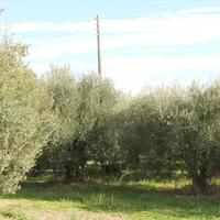 Земельный участок в Греции