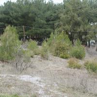 Земельный участок в Греции