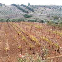 Hotel in Greece, 480 sq.m.