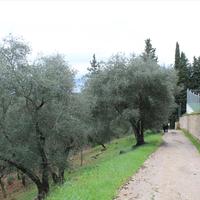 Land plot in Greece, 4900 sq.m.