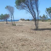 Land plot in Greece, 3000 sq.m.