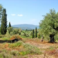 Land plot in Greece, 1200 sq.m.