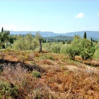 Land plot in Greece, 1200 sq.m.