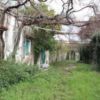 Land plot in Greece, 5000 sq.m.