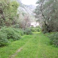 Land plot in Greece, 5000 sq.m.