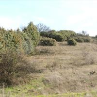 Land plot in Greece