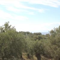 Land plot in Greece