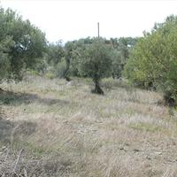 Land plot in Greece