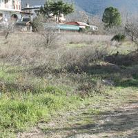 Land plot in Greece, 600 sq.m.
