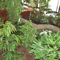 Вилла в Греции, 1140 кв.м.