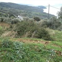 Земельный участок в Греции, 2000 кв.м.