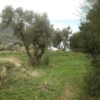 Земельный участок в Греции, 2000 кв.м.