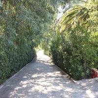 Villa in Greece, 300 sq.m.