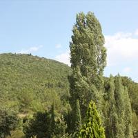 Villa in Greece, 500 sq.m.