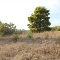 Land plot in Greece