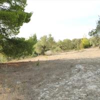 Land plot in Greece