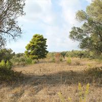Land plot in Greece