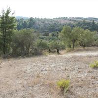 Land plot in Greece