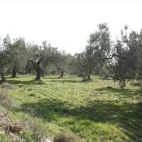 Land plot in Greece