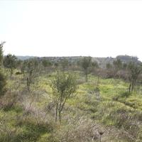 Land plot in Greece