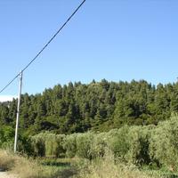 Land plot in Greece