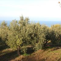 Земельный участок в Греции