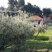 Земельный участок в Греции