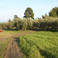 Земельный участок в Греции