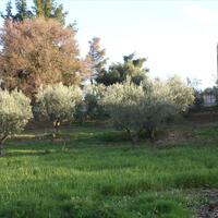 Земельный участок в Греции