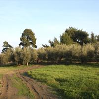 Земельный участок в Греции