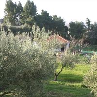 Земельный участок в Греции