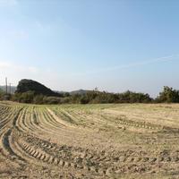 Land plot in Greece