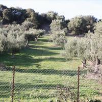 Земельный участок в Греции, 1496 кв.м.