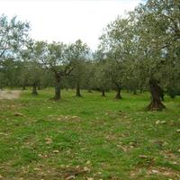 Земельный участок в Греции