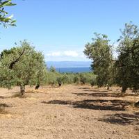 Land plot in Greece