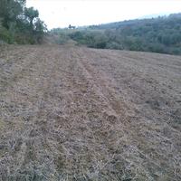 Land plot in Greece, 7300 sq.m.