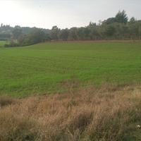 Land plot in Greece, 8000 sq.m.