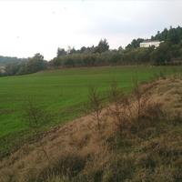 Land plot in Greece, 8000 sq.m.