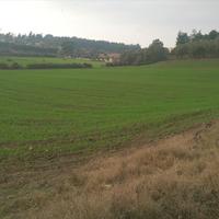 Land plot in Greece, 8000 sq.m.