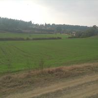 Land plot in Greece, 8000 sq.m.