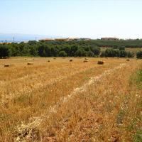 Land plot in Greece
