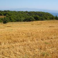 Land plot in Greece