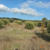 Земельный участок в Греции