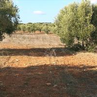 Land plot in Greece