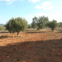 Land plot in Greece