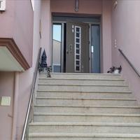 Hotel in Greece, 224 sq.m.