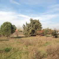 Земельный участок в Греции