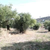 Land plot in Greece, 3503 sq.m.